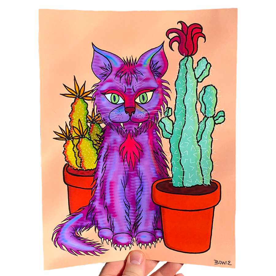 CACTI KITTY